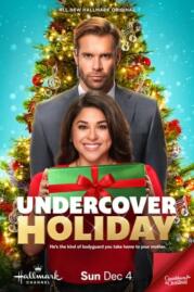 ดูหนังออนไลน์ Undercover Holiday วันหยุดสายลับ (2022)